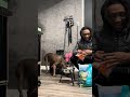 Wait till the end😳…OMG‼️🔥 #dogcommunity #puppy #funny #puppies #dogs