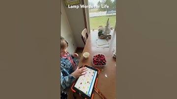 LAMP Words for Life - I like yogurt! #augmentativecommunication #aacdeviceconsistency