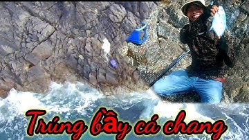 VUONG LT VLOG | câu cá biển | hòn cồng cộc Nhơn lý gặp bầy cá chang
