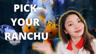 HOW TO IDENTIFY DIFFERENT TYPES OF RANCHU
