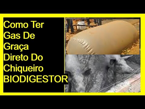 Vídeo: Como Obter Biogás