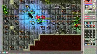 Tibia - The Best Moment To Kill Right Before the SS! ED 246 Red Skull Down [HD]