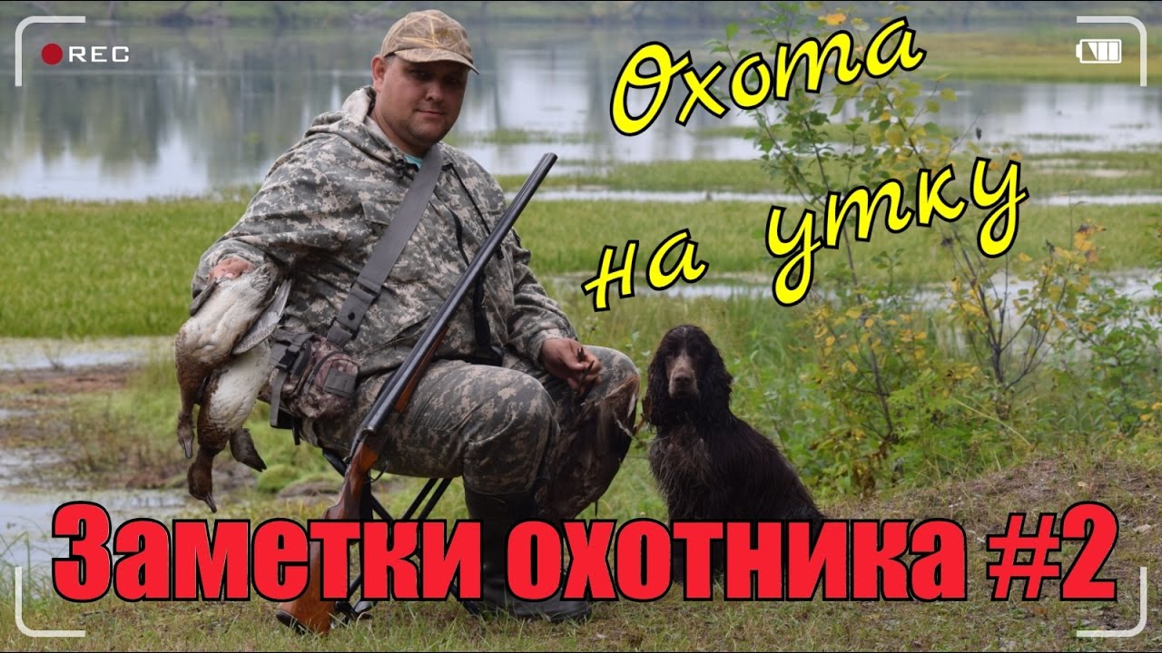 Иж охота интернет магазин