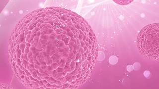 Mitos E Verdades Sintomas Do Câncer De Mama - Outubro Rosa