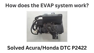 EVAP Canister and DTC P2422 on Acura or Honda