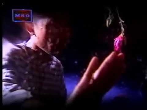 [KARAOKE] Lestari - Wangian Cintamu