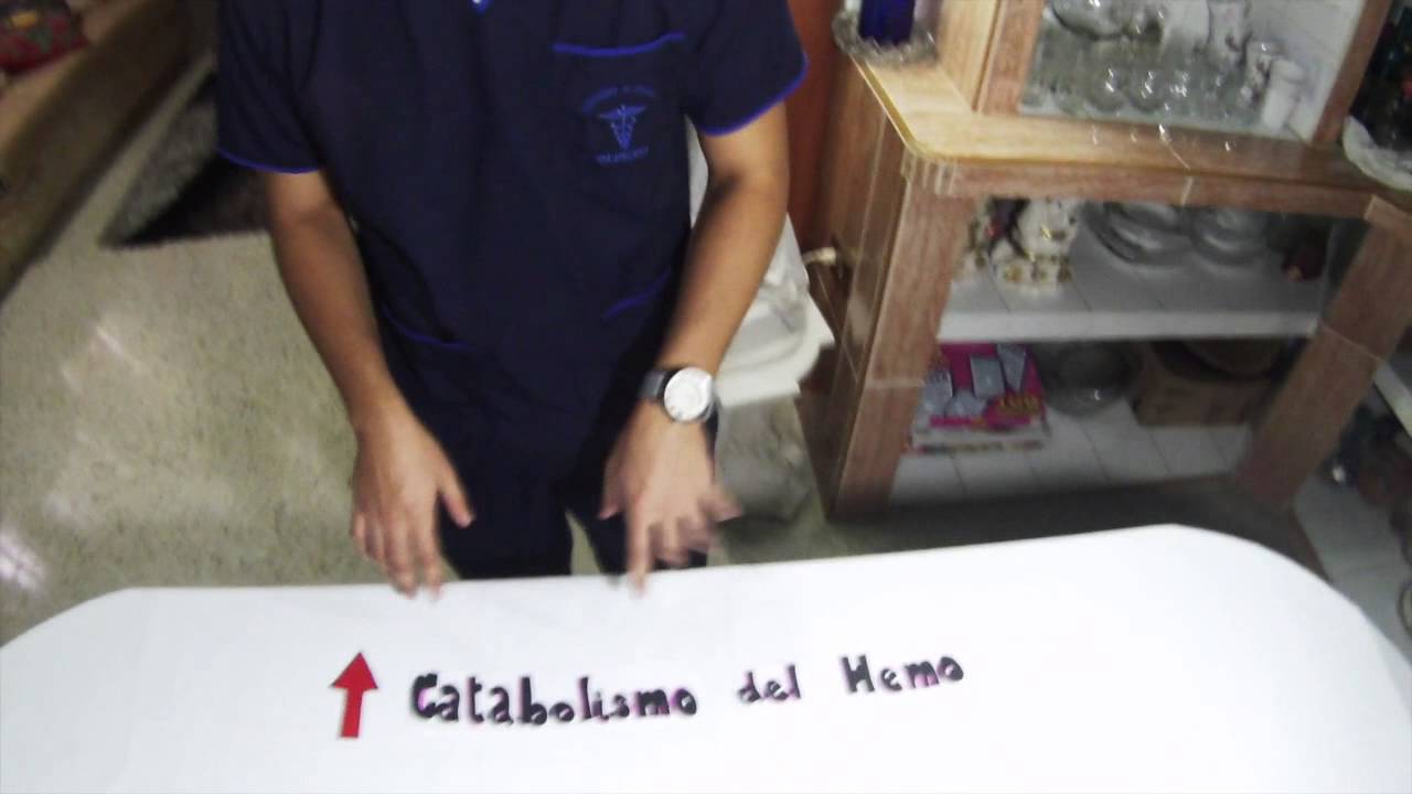 Metabolismo del grupo hemo (anemia hemolitica) - YouTube