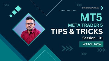 MT5 ගැන සියලු දේ සරලව ඉගෙනගන්න | Profit කරන්න Chart Analysis කරලා විතරක් මදි මේවත් දැනගන්නම ඕනේ