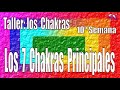 Taller: los Chakras. Los 7 Chakras Principales.