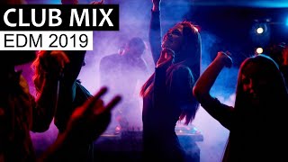 EDM CLUB MIX - Electro Dance House Music Mix 2019 (Mixed by Disco Fries)