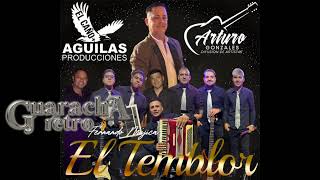 EL TEMBLOR  /SI ME DEJAS AHORA REMIX🎼 @gustavotejada