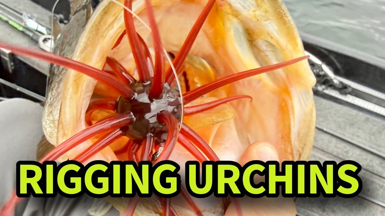 Best Ways to Rig Coike Style Baits for More Hookups - YouTube