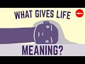 Ethical dilemma what makes life worth living  douglas maclean