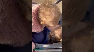 Диди и МАДИ вместе катаются на коляске Cybex. Лучшая коляска