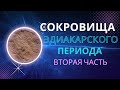 Сокровища эдиакарского периода\уникальные находки\вторая часть