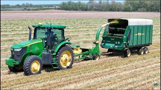 Chopping & Bagging Triticale near Greenville Ohio