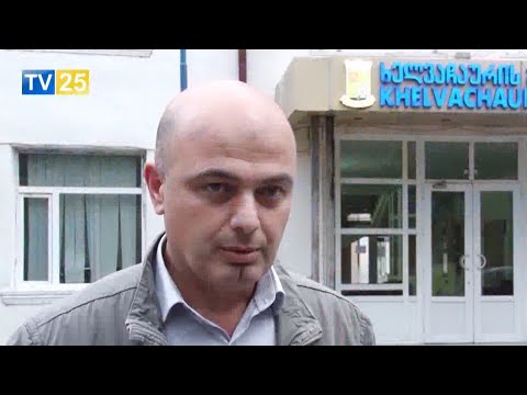 ხელვაჩაურის მერის მოადგილე გაათავისუფლეს