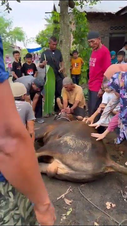 Mak Beti mengucapkan selamat hari raya idul adha ya nakku, semoga qurban Mak Beti d terima