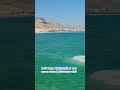 dead sea #ocean #sea #deadseasalt #facts #science #sciencefacts #shorts #shortfeed #motivation