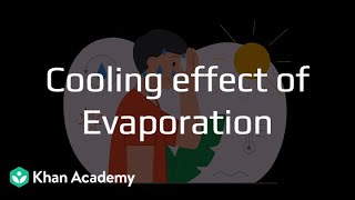 Cooling Effect Of Evaporation Rain Where Does It Come From? Grade 6 Science Khan Academy