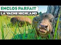 Habitat des vaches highland  les enclos parfaits  pisode 150  planet zoo