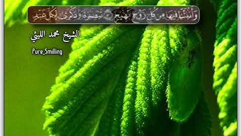 سورة ق - الشيخ محمد الليثي