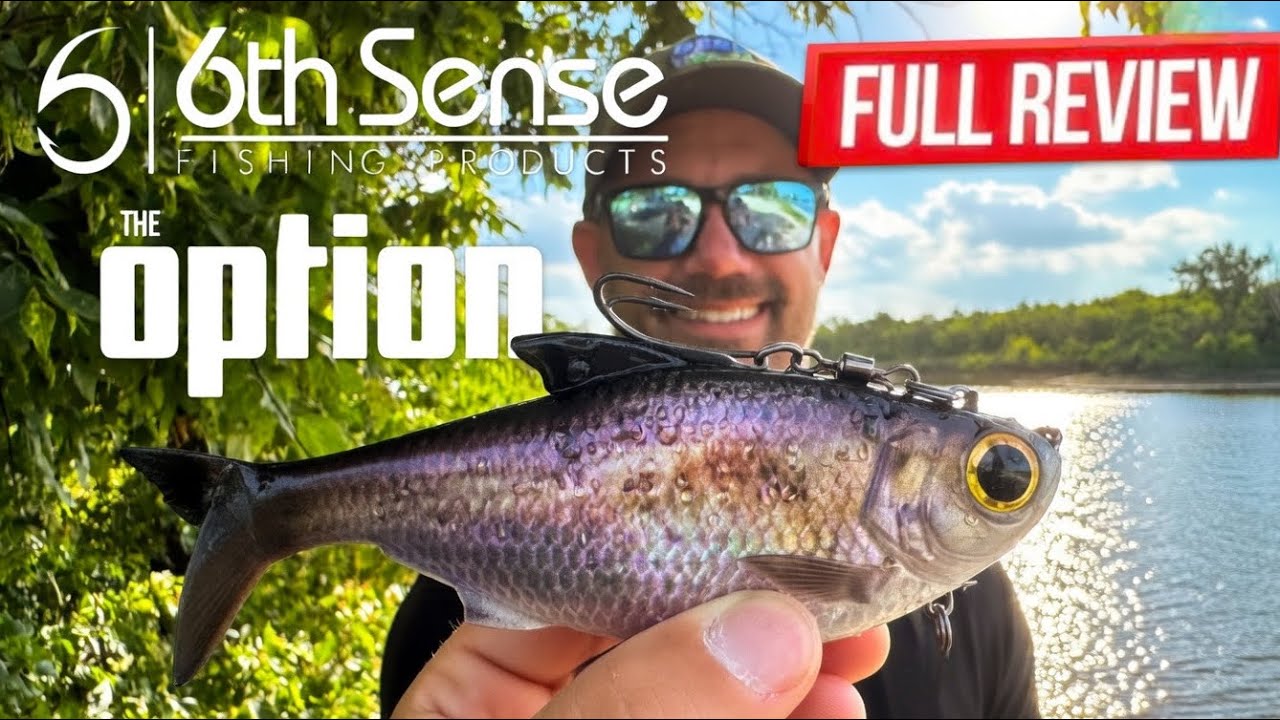 6th Sense The Option – Should you buy it?