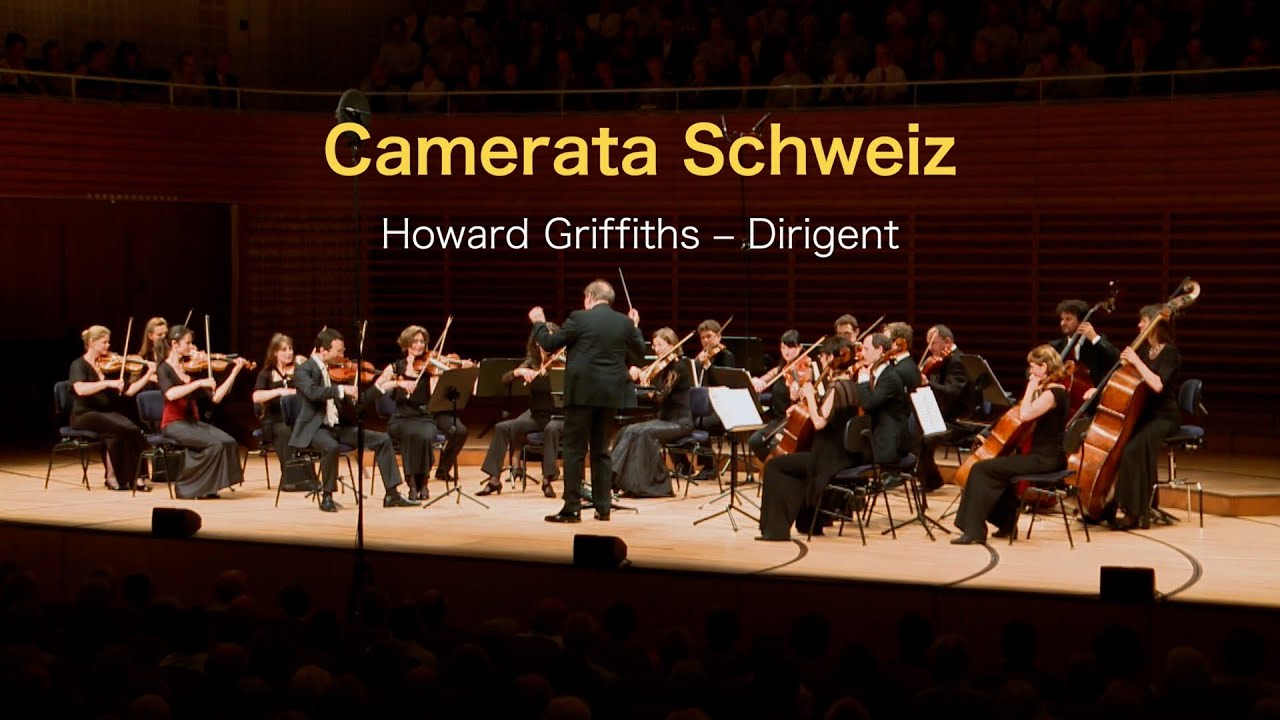 Camerata Schweiz performs Leroy Andersons Plink, Plank, Plunk!