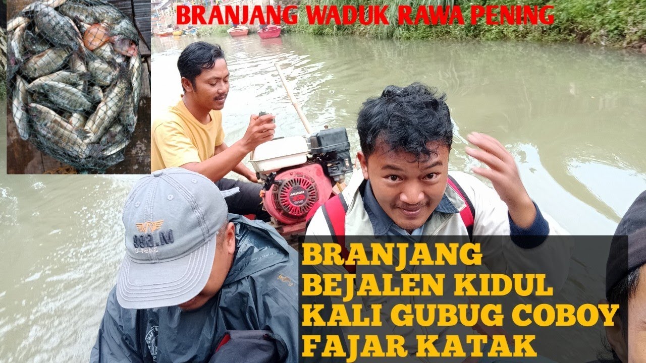 BRANJANG NEW RAWA PENING BEJALEN KIDUL KALI TGL 8 JANUARI 2024 GUBUG COBOY/FAJAR KATAK