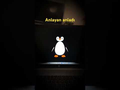 Anlayan anladı ￼