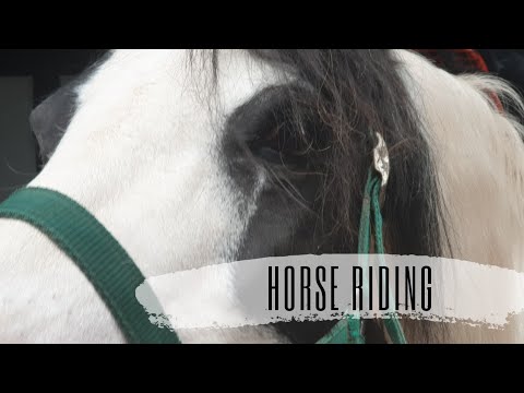 Horse Riding Fun at Penpont House | Summer Holidays