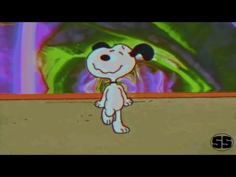 TRAPPIN IN ＰＡＲＡＤＩＳＥ 141 