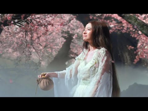 一首小阿枫的《白狐》，深沉的歌声，唱出了生死相许的爱情，十分感人