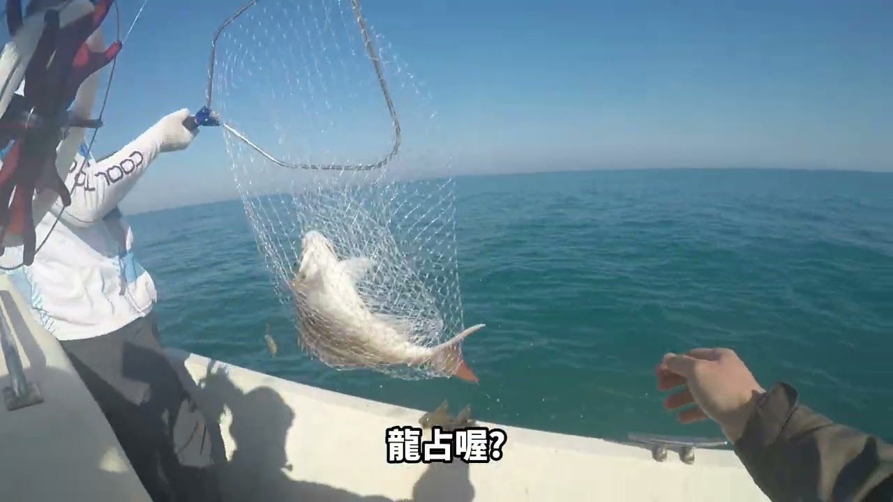 2026-02-15 南寮船釣 一支釣 黑嘉鱲