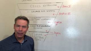 How To Detox the Right Way - Phase 3 | Dr. Wade Binley