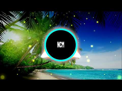 Petit Biscuit [ft. 2Pac] - Sunset Lover (Ramon.F Vocal Edit)