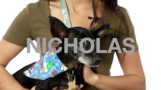 Adopt Nicholas at NKLA