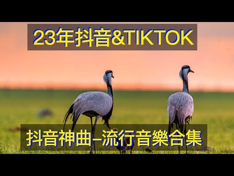 耳朵懷孕音樂合集 一聽就忘不掉的六首“傷感情歌”熟悉的旋律，勾起無數人的過往 耳朵怀孕音乐合集 一听就忘不掉的六首“伤感情歌”熟悉的旋律，勾起无数人的过往