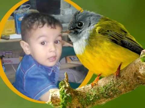 حكيم ايه ياعم 