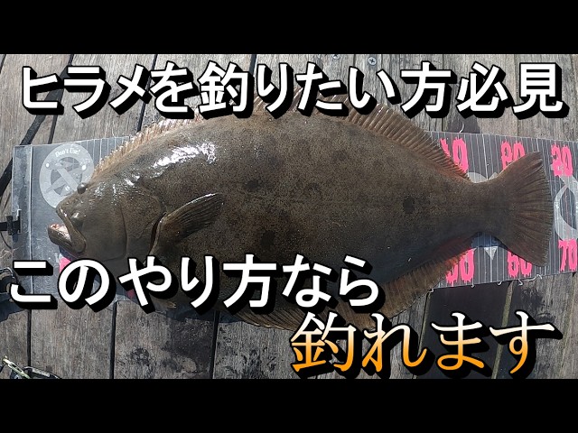 釣れないのは、これのせい？三角バケ釣り（ヒラメ狙い） - YouTube