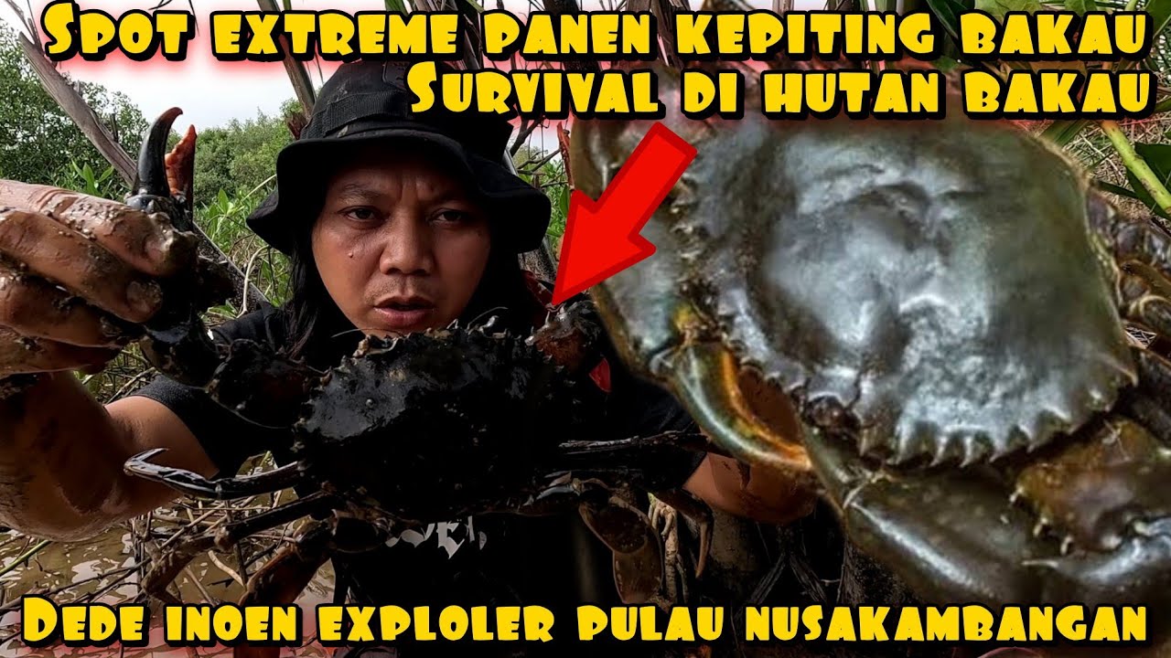 MAKANAN MAHAL DI PULAU NUSAKAMBANGAN