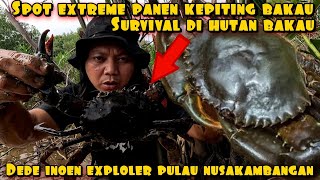 Download Lagu MAKANAN MAHAL DI PULAU NUSAKAMBANGAN MP3 Download Lagu MAKANAN MAHAL DI PULAU NUSAKAMBANGAN MP3