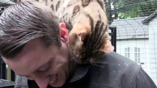 Big Mac Attacks - Kameron 0417