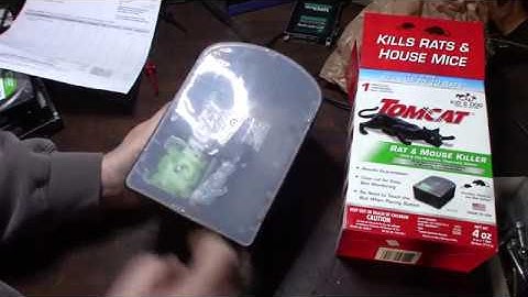 Tomcat mouse and rat bait station trap review part 1
