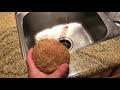 How to crack a coconut