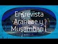 Entrevista a Musamban1 y Araneae