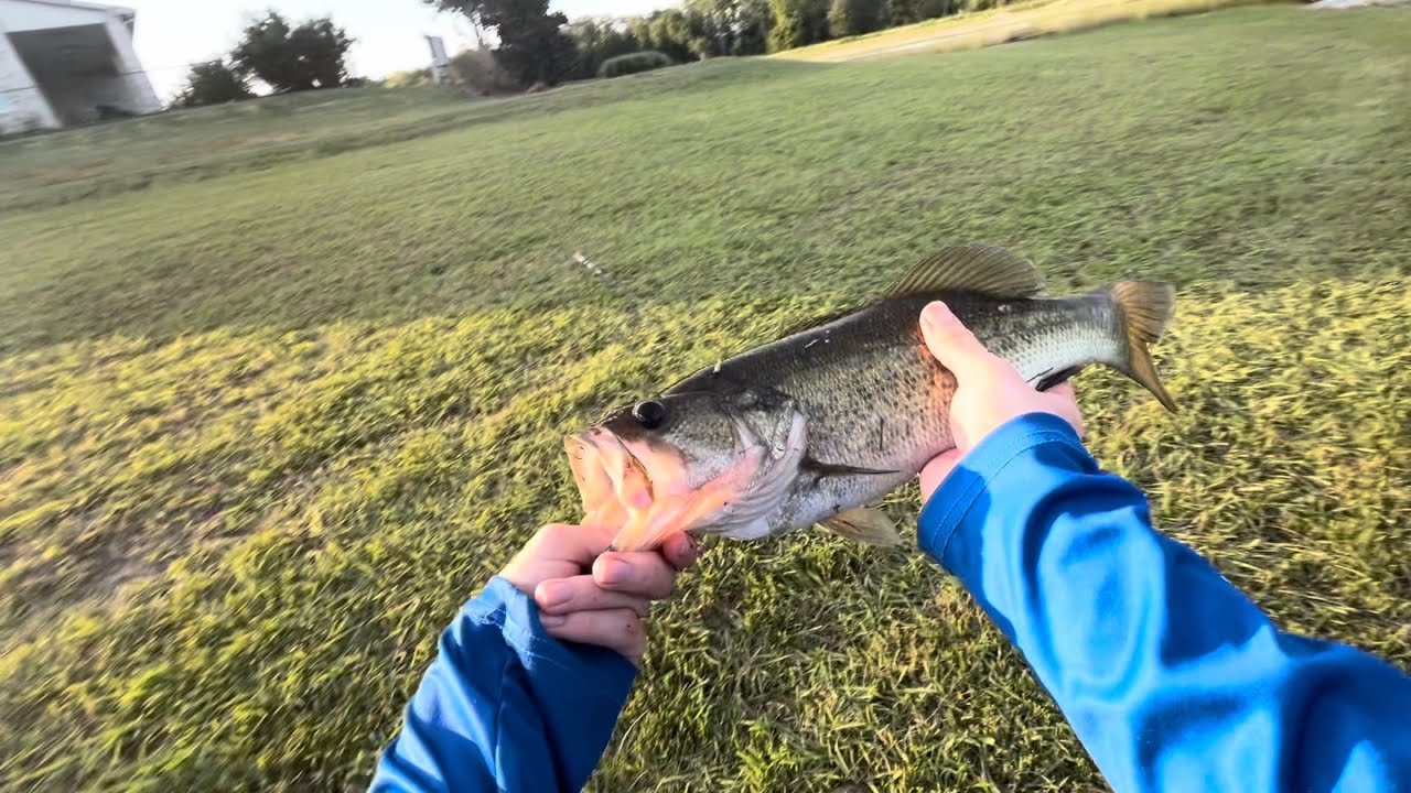 Bass fishing with Googan worms
