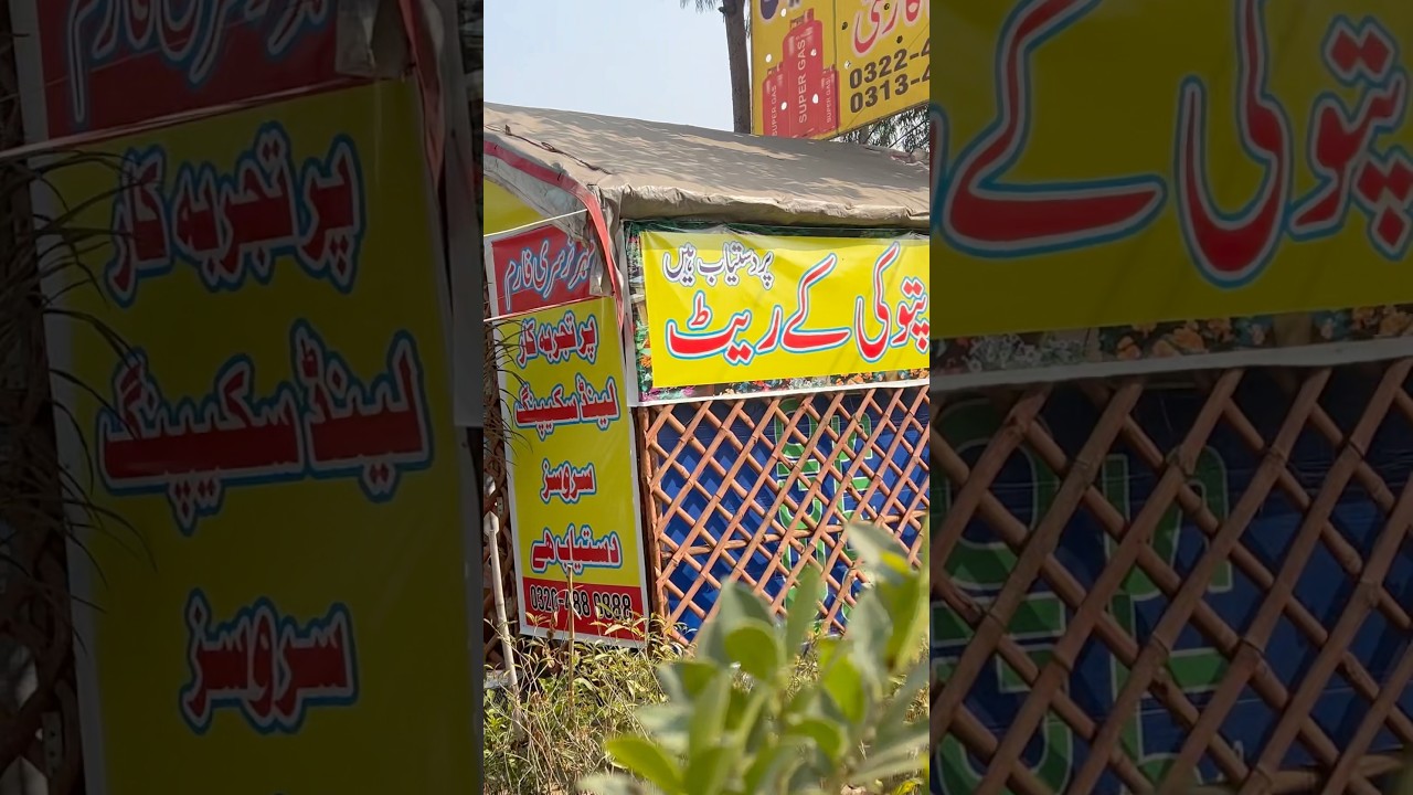 Best landscaping services in lahore 