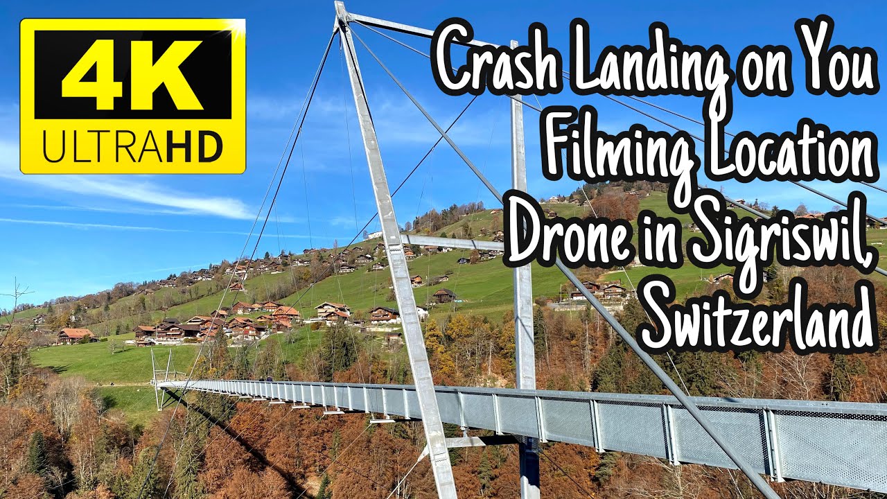 スイス 不時着 愛 の