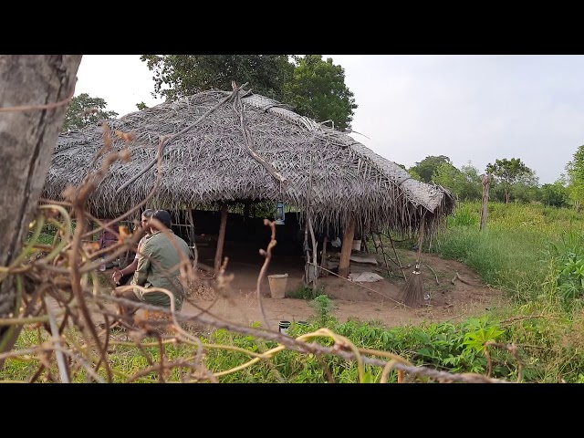 sri lankan traditional  farmer episode 2